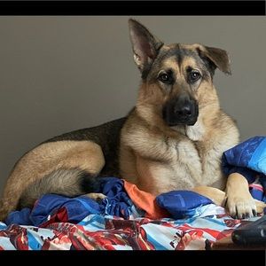 Meet your Posher, Mandy